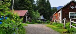 Crow Creek Gold Mine