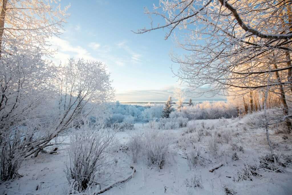 Snow-covered Anchorage landscape in winter