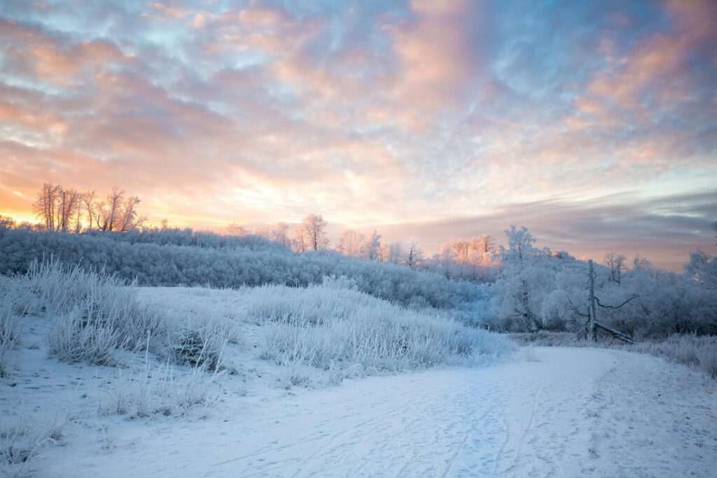 Snowy winter landscape in Anchorage, Alaska