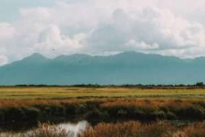 Fall in Anchorage: What to Do When the Crowds Leave