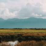 Live Music in Anchorage: Best Venues and Local Tips