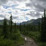 Spring Awakening: Early Season Activities in Anchorage