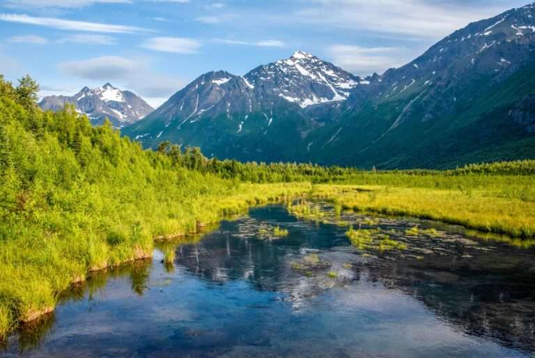 Eagle River Nature Center family friendly in Eagle River, Anchorage Alaska