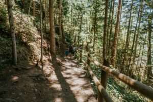 Turnagain Arm Beluga Whale Viewing