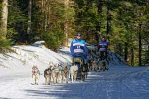 Iditarod Trail Headquarters & Year-Round Viewing Experiences