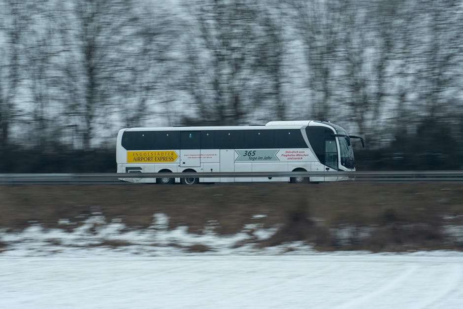 Shuttle Services of Alaska services in AK, Alaska