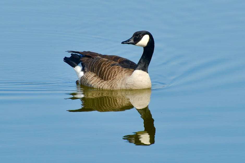 Guided Spring Nature Walk at Westchester Lagoon outdoor activity in Anchorage, Alaska