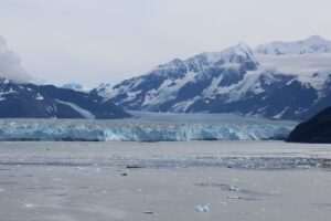 Alaska’s Finest Tours & Cruises