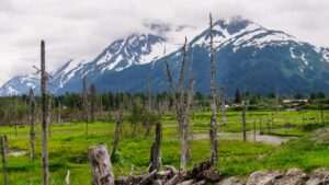 Spring Trail Opening Celebration at Flattop Mountain