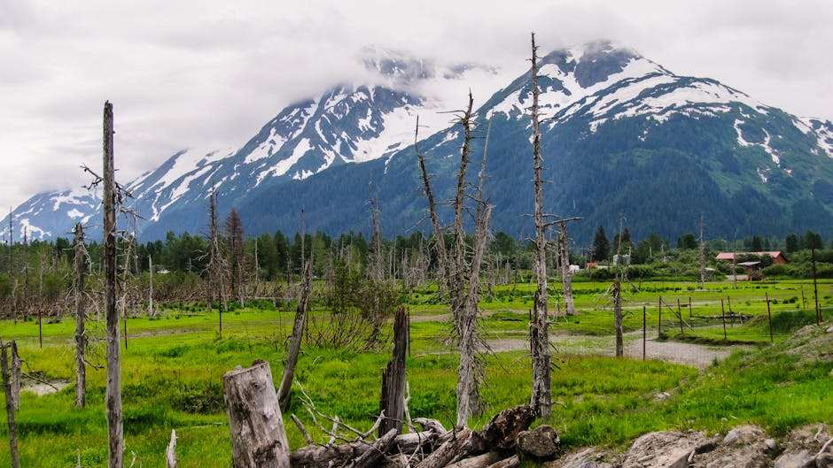 Spring Trail Opening Celebration at Flattop Mountain outdoor activity in Anchorage, Alaska