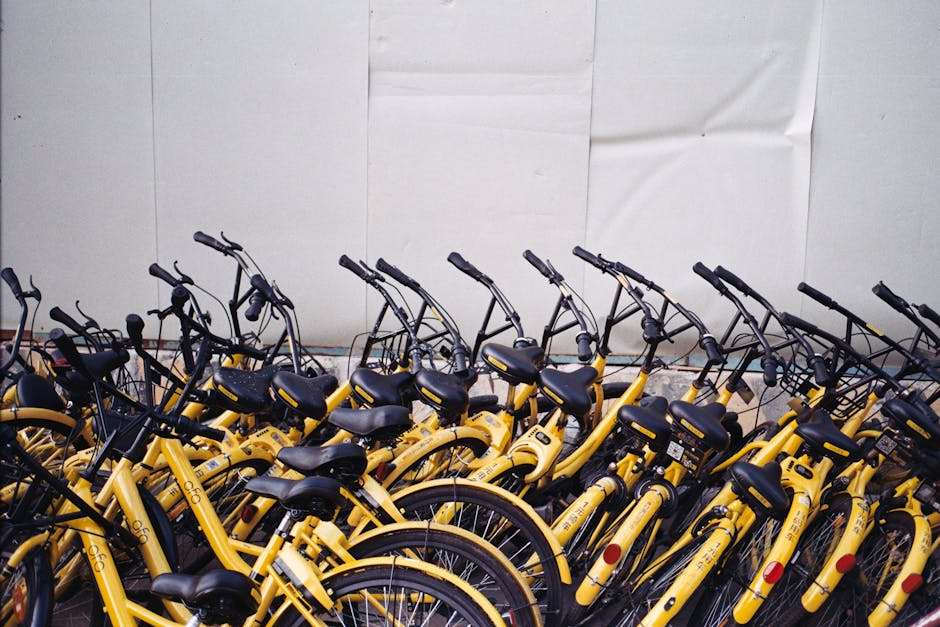 Downtown Bicycle Rental, Sales and Repair services in Anchorage, Alaska