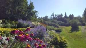 Spring Wildlife Photography Workshop at Kincaid Park