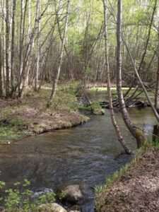 Russian Jack Springs Trail