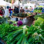 Your Complete Guide to Anchorage Spring & Summer Farmers Markets 2026