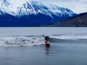 Turnagain Arm Tide Pool Discovery