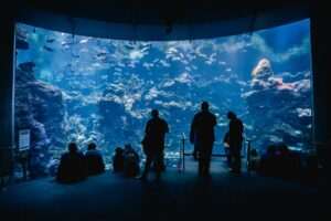 Alaska SeaLife Center