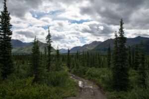 Anchorage Trail Running Challenge