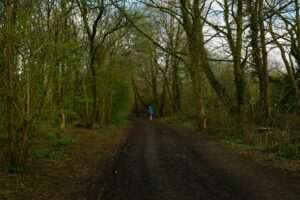 Kincaid Park Trail System