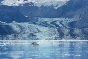 Prince William Sound 2026: Alaska Cruise Booking Guide