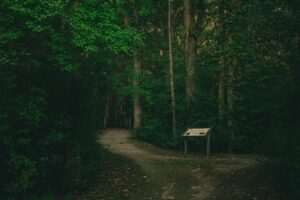 Earthquake Park Trail