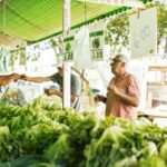 Anchorage Summer Farmers Markets & Food Vendors Guide 2026