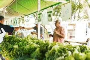 Anchorage Summer Farmers Markets & Food Vendors Guide 2026