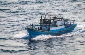 Cook Inlet Charters