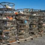 Alaska Seafood Experience: Where to Find Fresh Local Catch