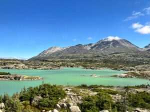 Best Alaska Summer Tours and Adventures for 2026