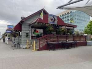 Dark Horse Coffee Co