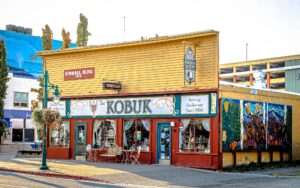 The Kobuk