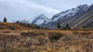 Middle Fork Loop Trail