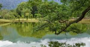 Goose Lake Park