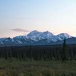 Denali National Park Camping 2026: How to Plan an Overnight Trip from Anchorage