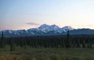 Denali National Park Camping 2026: How to Plan an Overnight Trip from Anchorage