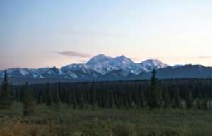 Anchorage to Denali Day Trip 2026: Train, Drive & Tours