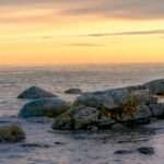 Anchorage to Homer Road Trip 2026: Kenai Peninsula Scenic Drive