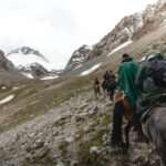Horseback Riding Near Anchorage 2026: Trails & Outfitters