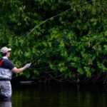 King Salmon Fishing in Anchorage 2026 — Complete Angler Guide