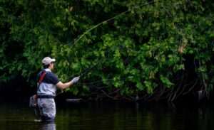 King Salmon Fishing in Anchorage 2026 — Complete Angler Guide