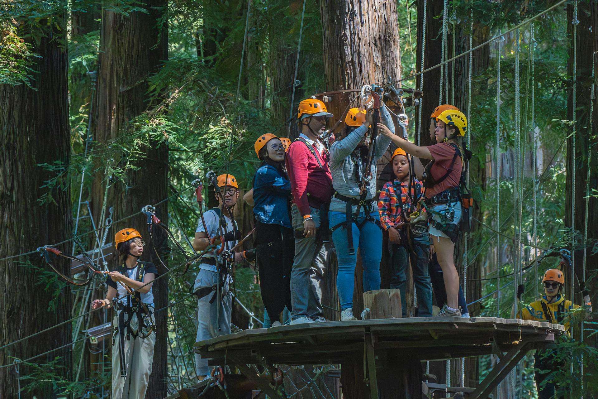 Alyeska Resort Zipline Tour | Anchorage, Alaska