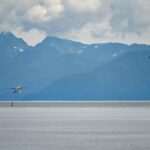 Flights to Anchorage from Vancouver, Calgary & Edmonton: Canadian Traveler Guide