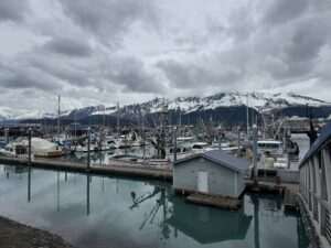 Puffin Fishing Charters